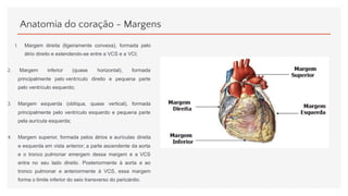 Anatomia do coração - Margens
1. Margem direita (ligeiramente convexa), formada pelo
átrio direito e estendendo-se entre a VCS e a VCI;
2. Margem inferior (quase horizontal), formada
principalmente pelo ventrículo direito e pequena parte
pelo ventrículo esquerdo;
3. Margem esquerda (oblíqua, quase vertical), formada
principalmente pelo ventrículo esquerdo e pequena parte
pela aurícula esquerda;
4. Margem superior, formada pelos átrios e aurículas direita
e esquerda em vista anterior; a parte ascendente da aorta
e o tronco pulmonar emergem dessa margem e a VCS
entra no seu lado direito. Posteriormente à aorta e ao
tronco pulmonar e anteriormente à VCS, essa margem
forma o limite inferior do seio transverso do pericárdio.
 