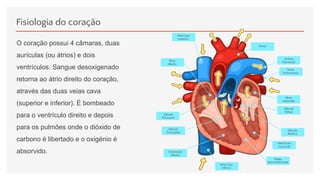 Fisiologia do coração
O coração possui 4 câmaras, duas
aurículas (ou átrios) e dois
ventrículos. Sangue desoxigenado
retorna ao átrio direito do coração,
através das duas veias cava
(superior e inferior). É bombeado
para o ventrículo direito e depois
para os pulmões onde o dióxido de
carbono é libertado e o oxigénio é
absorvido.
 
