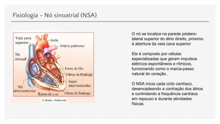 Fisiologia - Nó sinoatrial (NSA)
O nó se localiza na parede póstero-
lateral superior do átrio direito, próximo
à abertura da veia cava superior
Ele é composto por células
especializadas que geram impulsos
elétricos espontâneos e rítmicos,
funcionando como o marca-passo
natural do coração.
O NSA inicia cada ciclo cardíaco,
desencadeando a contração dos átrios
e controlando a frequência cardíaca
em repouso e durante atividades
físicas.
 