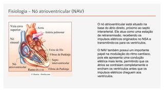 Fisiologia - Nó atrioventricular (NAV)
O nó atrioventricular está situado na
base do átrio direito, próximo ao septo
interarterial. Ele atua como uma estação
de retransmissão, recebendo os
impulsos elétricos originados no NSA e
transmitindo-os para os ventrículos.
O NAV também possui um importante
papel na modulação do ritmo cardíaco,
pois ele apresenta uma condução
elétrica mais lenta, permitindo que os
átrios se contraiam completamente e
encham os ventrículos antes que os
impulsos elétricos cheguem aos
ventrículos.
 