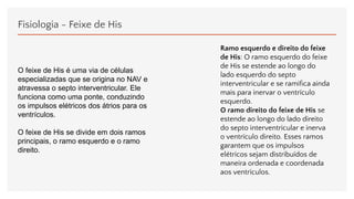 Fisiologia - Feixe de His
O feixe de His é uma via de células
especializadas que se origina no NAV e
atravessa o septo interventricular. Ele
funciona como uma ponte, conduzindo
os impulsos elétricos dos átrios para os
ventrículos.
O feixe de His se divide em dois ramos
principais, o ramo esquerdo e o ramo
direito.
Ramo esquerdo e direito do feixe
de His: O ramo esquerdo do feixe
de His se estende ao longo do
lado esquerdo do septo
interventricular e se ramiﬁca ainda
mais para inervar o ventrículo
esquerdo.
O ramo direito do feixe de His se
estende ao longo do lado direito
do septo interventricular e inerva
o ventrículo direito. Esses ramos
garantem que os impulsos
elétricos sejam distribuídos de
maneira ordenada e coordenada
aos ventrículos.
 