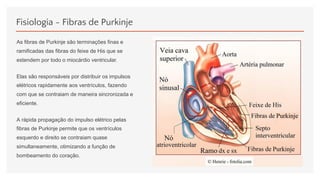 Fisiologia - Fibras de Purkinje
As fibras de Purkinje são terminações finas e
ramificadas das fibras do feixe de His que se
estendem por todo o miocárdio ventricular.
Elas são responsáveis por distribuir os impulsos
elétricos rapidamente aos ventrículos, fazendo
com que se contraiam de maneira sincronizada e
eficiente.
A rápida propagação do impulso elétrico pelas
fibras de Purkinje permite que os ventrículos
esquerdo e direito se contraiam quase
simultaneamente, otimizando a função de
bombeamento do coração.
 