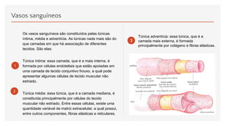 Vasos sanguíneos
1
2
Os vasos sanguíneos são constituídos pelas túnicas
íntima, média e adventícia. As túnicas nada mais são do
que camadas em que há associação de diferentes
tecidos. São elas:
Túnica íntima: essa camada, que é a mais interna, é
formada por células endoteliais que estão apoiadas em
uma camada de tecido conjuntivo frouxo, a qual pode
apresentar algumas células de tecido muscular não
estriado.
Túnica média: essa túnica, que é a camada mediana, é
constituída principalmente por células do tecido
muscular não estriado. Entre essas células, existe uma
quantidade variável de matriz extracelular, a qual possui,
entre outros componentes, fibras elásticas e reticulares.
Túnica adventícia: essa túnica, que é a
camada mais externa, é formada
principalmente por colágeno e fibras elásticas.
 