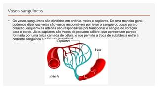 Vasos sanguíneos
• Os vasos sanguíneos são divididos em artérias, veias e capilares. De uma maneira geral,
podemos dizer que veias são vasos responsáveis por levar o sangue do corpo para o
coração, enquanto as artérias são responsáveis por transportar o sangue do coração
para o corpo. Já os capilares são vasos de pequeno calibre, que apresentam parede
formada por uma única camada de célula, o que permite a troca de substância entre a
corrente sanguínea e o líquido intersticial.
 