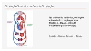 Circulação Sistêmica ou Grande Circulação
Na circulação sistêmica, o sangue
é levado do coração para os
tecidos e, depois, é levado
novamente para o coração
Coração → Sistemas Corporais → Coração
 