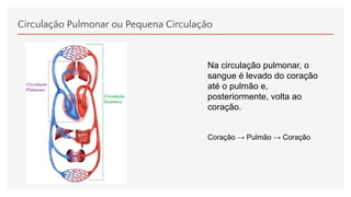 Circulação Pulmonar ou Pequena Circulação
Na circulação pulmonar, o
sangue é levado do coração
até o pulmão e,
posteriormente, volta ao
coração.
Coração → Pulmão → Coração
 