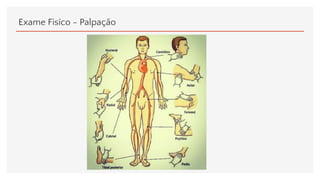 Exame Fisíco - Palpação
 