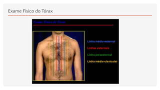 Exame Físico do Tórax
 