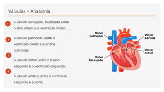 Válvulas – Anatomia
a válvula tricúspide, localizada entre
o átrio direito e o ventrículo direito;
a válvula pulmonar, entre o
ventrículo direito e a artéria
pulmonar;
a válvula mitral, entre o o átrio
esquerdo e o ventrículo esquerdo;
a válvula aórtica, entre o ventrículo
esquerdo e a aorta.
1
2
3
4
 
