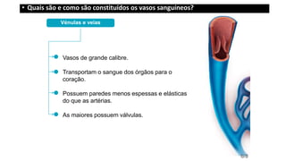 Vénulas e veias
Vasos de grande calibre.
Transportam o sangue dos órgãos para o
coração.
Possuem paredes menos espessas e elásticas
do que as artérias.
As maiores possuem válvulas.
6/8
• Quais são e como são constituídos os vasos sanguíneos?
 