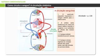 SISTEMA CARDIOVASCULAR
Como circula o sangue? A circulação sistémica
Atividade – p. 118
 