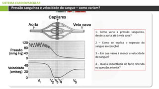 SISTEMA CARDIOVASCULAR
Pressão sanguínea e velocidade do sangue – como variam?
1- Como varia a pressão sanguínea,
desde a aorta até à veia cava?
2 – Como se explica o regresso do
sangue ao coração?
3 – Em que vasos é menor a velocidade
do sangue?
4 – Qual a importância do facto referido
na questão anterior?
 