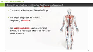 SISTEMA CARDIOVASCULAR
• O sistema cardiovascular é constituído por:
• um órgão propulsor da corrente
sanguínea, o coração;
• por vasos sanguíneos, que asseguram a
distribuição do sangue a todas as partes do
corpo humano.
Quais são os principais constituintes do sistema cardiovascular?
 