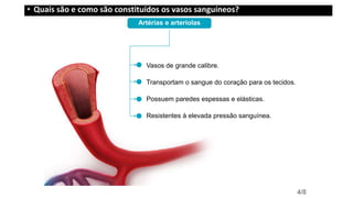 Artérias e arteríolas
4/8
Vasos de grande calibre.
Transportam o sangue do coração para os tecidos.
Possuem paredes espessas e elásticas.
Resistentes à elevada pressão sanguínea.
• Quais são e como são constituídos os vasos sanguíneos?
 