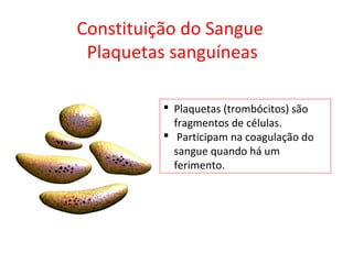 Constituição do Sangue
Plaquetas sanguíneas
 Plaquetas (trombócitos) são
fragmentos de células.
 Participam na coagulação do
sangue quando há um
ferimento.
 