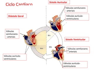 Ciclo Cardíaco
Diástole Geral
Sístole Auricular
Sístole Ventricular
Válvulas
semilunares
- arteriais
Válvulas aurículo-
ventriculares
Válvulas semilunares
- arteriais
Válvulas aurículo-
ventriculares
Válvulas aurículo-
ventriculares
Válvulas semilunares
- arteriais
 