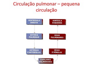 Circulação pulmonar – pequena
circulação
 
