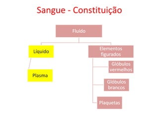 Sangue - Constituição
 