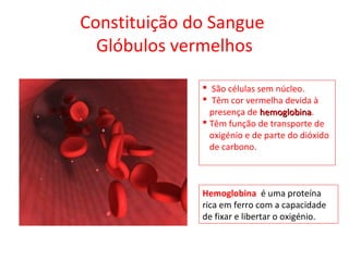 Constituição do Sangue
Glóbulos vermelhos
 São células sem núcleo.
 Têm cor vermelha devida à
presença de hemoglobinahemoglobina.
 Têm função de transporte de
oxigénio e de parte do dióxido
de carbono.
Hemoglobina é uma proteína
rica em ferro com a capacidade
de fixar e libertar o oxigénio.
 