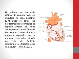 O sistema de condução 
elétrica do coração inicia ,os 
impulsos, no nodo sinoatrial 
(S-A) onde os átrios são 
despolarizados e o impulso se 
espalha através do nodo 
atrioventricular e do feixe de 
His para os ramos direito e 
esquerdo seguindo para os 
músculo ventricular através 
da rede de Purkinje 
resultando a despolarização 
ventricular. (THALER,1997). 
 