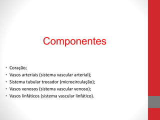 Componentes 
• Coração; 
• Vasos arteriais (sistema vascular arterial); 
• Sistema tubular trocador (microcirculação); 
• Vasos venosos (sistema vascular venoso); 
• Vasos linfáticos (sistema vascular linfático). 
 