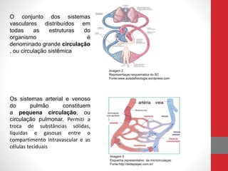 O conjunto dos sistemas 
vasculares distribuídos em 
todas as estruturas do 
organismo é 
denominado grande circulação 
, ou circulação sistêmica 
Os sistemas arterial e venoso 
do pulmão constituem 
a pequena circulação, ou 
circulação pulmonar. Permiti a 
troca de substâncias sólidas, 
líquidas e gasosas entre o 
compartimento intravascular e as 
células teciduais 
Imagem 2 
Representaçao esquematica do SC 
Fonte:www.auladefisiologia.wordpress.com 
Imagem 5 
Esquema representativo da micricirculaçao 
Fonte:http://slideplayer.com.br/ 
 
