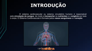 sistemacardiovascular1-170831184902.pdf