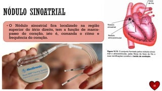 ▪ O Nódulo sinoatrial fica localizado na região
superior do átrio direito, tem a função de marca-
passo do coração, isto é, comanda o ritmo e
frequência do coração.
12
 