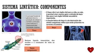 Baço
Timo
Retiram líquido intercelular dos
tecidos e o conduzem de volta ao
sangue
Vasos
sanguíneos 28
 