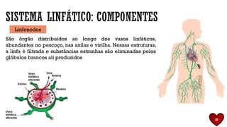 São órgão distribuídos ao longo dos vasos linfáticos,
abundantes no pescoço, nas axilas e virilha. Nessas estruturas,
a linfa é filtrada e substâncias estranhas são eliminadas pelos
glóbulos brancos ali produzidos
Linfonodos
29
 