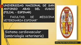 UNIVERSIDAD NACIONAL DE SAN
ANTONIO ABAD DEL CUSCO
(FILIAL – ESPINAR)
“ FACULTAD DE MEDICINA
VETERINARIA-ESPINAR”
Sistema cardiovascular
(embriología veterinaria)
Atte. Roy Roli Huillcara Giraldo.
 
