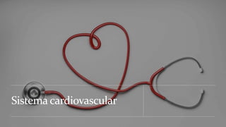 Sistema cardiovascular
 