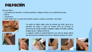 Palpación
Hay que valorar:
o La presencia de induración, trombosis superficial o cualquier cambio en la consistencia de la piel.
o Edema.
o Temperatura.
o Pulsos: determinar si el pulso está presente, ausente o dudoso; aumentado o disminuido.
Los pulsos se deben palpar sobre las arterias que están cerca de la
superficie del cuerpo y sobre los huesos. Entre las primeras, se
encuentran las arterias carótidas, braquiales, radiales, femorales, poplíteas,
dorsales del pie y tibiales posteriores.
La pulsación arterial es fundamentalmente una onda de sangre saltona
que disminuye de intensidad al aumentar la distancia respecto al corazón.
 