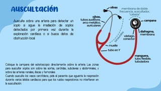 Auscultación
Ausculte sobre una arteria para detectar un
soplo si sigue la irradiación de soplos
detectados por primera vez durante la
exploración cardíaca o si busca datos de
obstrucción local.
Coloque la campana del estetoscopio directamente sobre la arteria. Las zonas
para auscultar soplos son sobre las aortas, carótidas, subclavias y abdominales, y
sobre las arterias renales, ilíacas y femorales.
Cuando ausculte los vasos carotídeos, pida al paciente que aguante la respiración
durante varios latidos cardíacos para que los ruidos respiratorios no interfieran en
la auscultación.
 