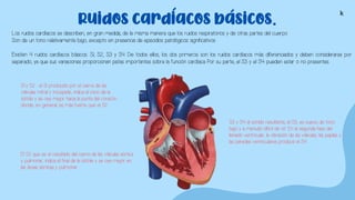 Ruidos cardíacos básicos.
Los ruidos cardíacos se describen, en gran medida, de la misma manera que los ruidos respiratorios y de otras partes del cuerpo.
Son de un tono relativamente bajo, excepto en presencia de episodios patológicos significativos.
Existen 4 ruidos cardíacos básicos: S1, S2, S3 y S4. De todos ellos, los dos primeros son los ruidos cardíacos más diferenciados y deben considerarse por
separado, ya que sus variaciones proporcionan pistas importantes sobre la función cardíaca. Por su parte, el S3 y el S4 pueden estar o no presentes.
S1 y S2: el S1 producido por el cierre de las
válvulas mitral y tricúspide, indica el inicio de la
sístole y se oye mejor hacia la punta del corazón,
donde, en general, es más fuerte que el S2..
El S2 que es el resultado del cierre de las válvulas aórtica
y pulmonar, indica el final de la sístole y se oye mejor en
las áreas aórticas y pulmonar.
S3 y S4 el sonido resultante, el S3, es suave, de tono
bajo y a menudo difícil de oír. En la segunda fase del
llenado ventricular, la vibración de las válvulas, las papilas y
las paredes ventriculares produce el S4.
k
 
