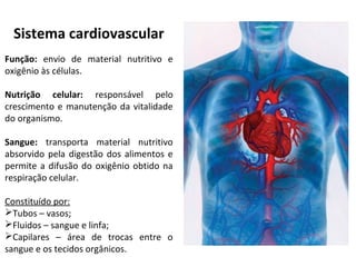 Sistema cardiovascular
Função: envio de material nutritivo e
oxigênio às células.
Nutrição celular: responsável pelo
crescimento e manutenção da vitalidade
do organismo.
Sangue: transporta material nutritivo
absorvido pela digestão dos alimentos e
permite a difusão do oxigênio obtido na
respiração celular.
Constituído por:
Tubos – vasos;
Fluidos – sangue e linfa;
Capilares – área de trocas entre o
sangue e os tecidos orgânicos.
 