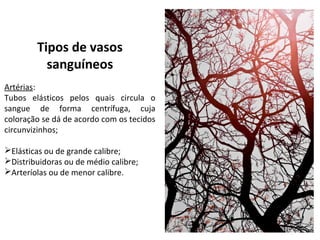 Tipos de vasos
sanguíneos
Artérias:
Tubos elásticos pelos quais circula o
sangue de forma centrífuga, cuja
coloração se dá de acordo com os tecidos
circunvizinhos;
Elásticas ou de grande calibre;
Distribuidoras ou de médio calibre;
Arteríolas ou de menor calibre.
 