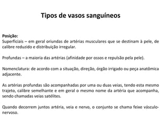 Tipos de vasos sanguíneos
Posição:
Superficiais – em geral oriundas de artérias musculares que se destinam à pele, de
calibre reduzido e distribuição irregular.
Profundas – a maioria das artérias (afinidade por ossos e repulsão pela pele).
Nomenclatura: de acordo com a situação, direção, órgão irrigado ou peça anatômica
adjacente.
As artérias profundas são acompanhadas por uma ou duas veias, tendo esta mesmo
trajeto, calibre semelhante e em geral o mesmo nome da artéria que acompanha,
sendo chamadas veias satélites.
Quando decorrem juntos artéria, veia e nervo, o conjunto se chama feixe vásculo-
nervoso.
 