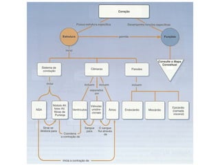 Sistema cardiovascular 