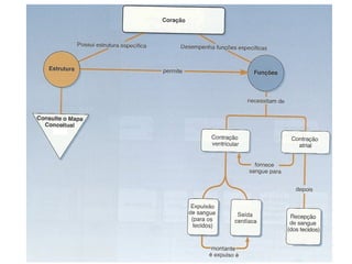 Sistema cardiovascular 