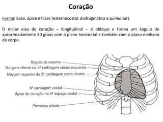 Coração
Forma: base, ápice e faces (esternocostal, diafragmática e pulmonar).
O maior eixo do coração – longitudinal – é oblíquo e forma um ângulo de
aproximadamente 40 graus com o plano horizontal e também com o plano mediano
do corpo.
 