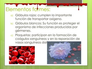 Elementos formes:
a) Glóbulos rojos: cumplen la importante
función de transportar oxígeno.
b) Glóbulos blancos: Su función es proteger el
organismo de infecciones producidas por
gérmenes.
c) Plaquetas: participan en la formación de
coágulos sanguíneos y en la reparación de
vasos sanguíneos dañados.
 