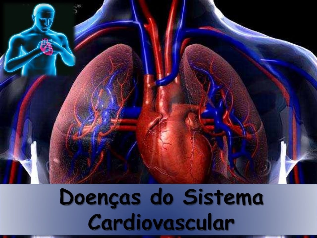 Exercícios Sobre O Sistema Cardiovascular 8o Ano