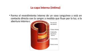 SISTEMA CARDIOVASCULAR ANATOMÍA Y FISIOLOGÍA.pptx