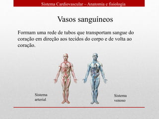 Sistema Cardiovascular – Anatomia e fisiologia
Vasos sanguíneos
Formam uma rede de tubos que transportam sangue do
coração em direção aos tecidos do corpo e de volta ao
coração.
Sistema
arterial
Sistema
venoso
 