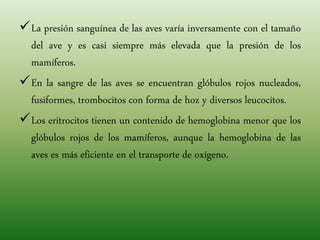 La presión sanguínea de las aves varía inversamente con el tamaño
del ave y es casi siempre más elevada que la presión de los
mamíferos.
En la sangre de las aves se encuentran glóbulos rojos nucleados,
fusiformes, trombocitos con forma de hoz y diversos leucocitos.
Los eritrocitos tienen un contenido de hemoglobina menor que los
glóbulos rojos de los mamíferos, aunque la hemoglobina de las
aves es más eficiente en el transporte de oxígeno.
 