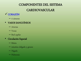 COMPONENTES DEL SISTEMA
CARDIOVASCULAR
CORAZÓN
– 4 cámaras
• VASOS SANGUÍNEOS
– Arterias
– Venas
– Red capilar
• Circulación Especial
– Riñón
– intestino delgado y grueso
– Hígado
– Pulmonar.
 