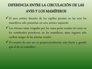 DIFERENCIA ENTRE LA CIRCULACIÓN DE LAS
AVES Y LOS MAMÍFEROS
El arco aórtico derecho de los reptiles persiste en las aves los
mamíferos sólo presentan un arco aórtico izquierdo
Los riñones están irrigados por los vasos porta renales tal como en
los vertebrados primitivos. en los mamíferos, estos órganos sólo
reciben sangre de las arterias renales
El corazón de una ave es proporcionalmente más fuerte y grande
que el de un mamífero.
 