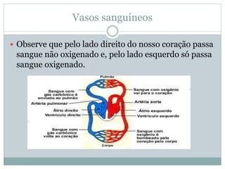 Vasos sanguíneos
 Observe que pelo lado direito do nosso coração passa
sangue não oxigenado e, pelo lado esquerdo só passa
sangue oxigenado.
 
