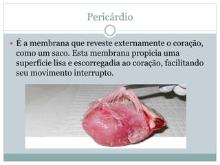 Pericárdio
 É a membrana que reveste externamente o coração,
como um saco. Esta membrana propicia uma
superfície lisa e escorregadia ao coração, facilitando
seu movimento interrupto.
 
